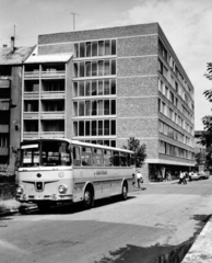 Magyarország, Budapest XI., Stoczek József (Stoczek) utca, balra a Kruspér utca, szemben a BME Martos Flóra Kollégiuma., 1969, Középületépítő Vállalat - Kreszán Albert - Koczka András - Kemecsei József, Budapest, Fortepan #227969