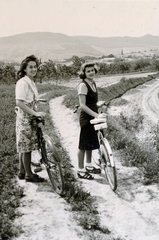 1938, Flanek-Falvay-Kováts, bicycle, Fortepan #228483