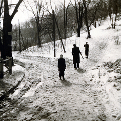 Magyarország, Budapest XII., Zugliget, a felvétel a Disznófő vendéglőhöz vezető erdei útnál készült., 1939, Flanek-Falvay-Kováts, Budapest, Fortepan #228529