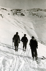 Románia,Erdély, Radnai-havasok., 1935, Flanek-Falvay-Kováts, háttal, síelés, hárman, Fortepan #228534