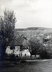 Magyarország, Budapest XII., a Kiss Áron utca 8. számú ház kert felőli homlokzata., 1937, Flanek-Falvay-Kováts, Budapest, Fortepan #228687