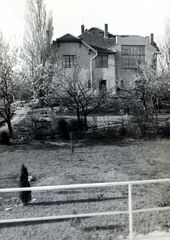 Magyarország, Budapest XII., Zirzen Janka utca 7. számú épület kert felőli homlokzata a Kiss Áron utca 8. számú ház teraszáról nézve., 1937, Flanek-Falvay-Kováts, Budapest, Fortepan #228688