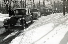 1935, Flanek-Falvay-Kováts, olasz gyártmány, osztrák gyártmány, Fiat-márka, havas táj, Steyr 50/55 Baby, libasor, Fortepan #228749