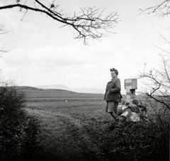 Magyarország, Budai-hegység, a kék jelzés Pesthidegkút és Nagykovácsi között. Háttérben a ködbevesző Pilis hegység., 1943, Flanek-Falvay-Kováts, Fortepan #228799