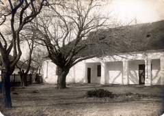 Hungary, Kunhegyes, Arany János utca., 1921, Kern család, yard, locust tree, porch, Fortepan #228896