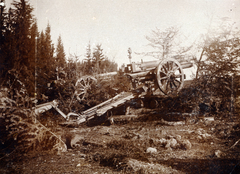 1917, Kocsák család, ordnance, cannon, Fortepan #229133