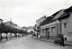 Románia,Erdély, Marosvásárhely, Lajos király utca (strada Cruza Voda) a Kiss Ernő utca (strada Traian Moşoiu) felől a IV. Béla utca (strada Cruza Voda) felé nézve, az utca végén az egykori Tanítóképző épülete (ma Szakszervezetek Művelődési Ház)., 1940, Fucskár József Attiláné, utcakép, fasor, Fortepan #229568