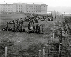 Ukrajna, Krivij Rih, (ekkor Krivoj Rog), hadifogolytábor Gdancivka városrészben., 1941, Fucskár József Attiláné, drótkerítés, hadifogoly, Fortepan #229596