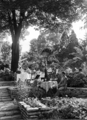 Magyarország, Budapest II., Hűvösvölgyi út (Vörös Hadsereg útja) 36., Budagyöngye étterem kerthelyisége., 1955, Fortepan/Album083, dísznövény, kert, vendéglátás, Budapest, Fortepan #229771