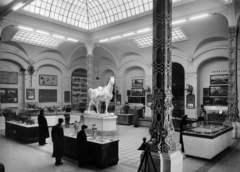 Magyarország, Városliget, Budapest XIV., Vajdahunyad vára, a Mezőgazdasági Múzeum kiállítása., 1955, Fortepan/Album083, Budapest, üvegtető, vitrin, ló, felülvilágító, Fortepan #229803