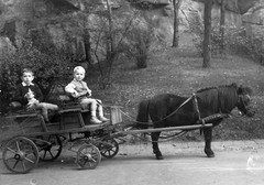 Magyarország, Városliget,Állatkert, Budapest XIV., pónifogat., 1940, Fortepan, hintó, park, kettős portré, póniló, Budapest, Fortepan #23005