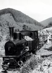 1933, Bor Dezső, steam locomotive, narrow-gauge railway, Fortepan #231400