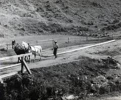 1933, Bor Dezső, Best of, pylon, Fortepan #231513