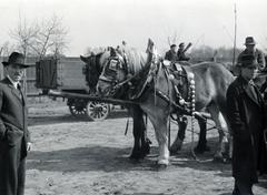 Hungary, Budapest IX., Haller téri lóvásár a Mester utca - Vágóhíd utca környéki területen., 1940, Bor Dezső, horse, saddle, Budapest, Horse-drawn carriage, Fortepan #231595