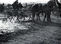 Hungary, Budapest IX., Haller téri lóvásár a Mester utca - Vágóhíd utca környéki területen., 1940, Bor Dezső, Best of, Horse-drawn carriage, mud, Budapest, Fortepan #231596