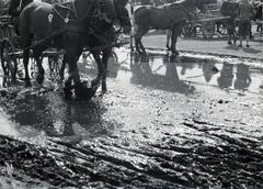 Hungary, Budapest IX., Haller téri lóvásár a Mester utca - Vágóhíd utca környéki területen., 1940, Bor Dezső, reflection, puddle, mud, Budapest, Fortepan #231597