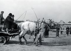 Hungary, Budapest IX., Haller téri lóvásár a Mester utca - Vágóhíd utca környéki területen., 1940, Bor Dezső, Horse-drawn carriage, saddle, whip, Budapest, Fortepan #231598