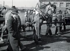 Magyarország, Budapest IX., Haller téri lóvásár a Mester utca - Vágóhíd utca környéki területen. Balra a háttérben Haller utca sarkánál lévő Páli Szent Vince-templom tornya látható., 1940, Bor Dezső, Best of, lovaskocsi, ünnepség, férfiak, lószerszám, Budapest, Fortepan #231599