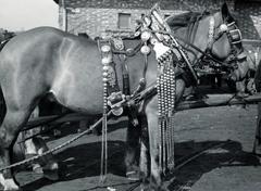 Hungary, Budapest IX., Haller téri lóvásár a Mester utca - Vágóhíd utca környéki területen., 1940, Bor Dezső, saddle, Budapest, Fortepan #231601