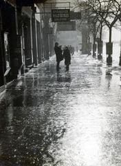 Hungary, Budapest IX., Ferenc körút, a felvétel a Tompa utca és a Mester utca közötti szakaszon készült., 1938, Bor Dezső, pavement, Budapest, Fortepan #231684