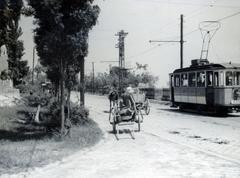 Magyarország, Miskolc, Hejőcsaba (ekkor önálló, ma a város része), a Csabavezér út (3-as főút) a Koboz utca (görömbölyitapolcai) elágazásánál. Balra a kis parkban az 1921. augusztus 21-én felavatott I. világháborús emlékmű (Jávorszky Antal kőfaragó) látható, melyen a 32 hazájáért hősi halált halt hejőcsabai katona neve van megörökítve., 1939, Bor Dezső, villamos, szekér, Fortepan #231776