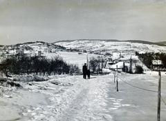 Magyarország, Budapest II., Józsefhegyi utca, kilátás a Pusztaszeri út felé, balra a József-hegy., 1939, Bor Dezső, Budapest, Fortepan #231810