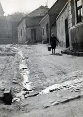 Magyarország, Tabán, Budapest I., Gyula utca, a háttérben balra az Orom utca 22. szám alatti nyaraló (Lina-lak)., 1928, Bor Dezső, utcakép, lakóház, lejtő, vízhordás, Budapest, Fortepan #231857