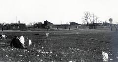 Magyarország, Budapest IX., Haller utcai vásártér, szemben keresztbe a Vágóhíd utca. Háttérben középen a sertésvágóhíd víztornya., 1931, Bor Dezső, pásztor, kecske, Budapest, Fortepan #231926