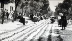 1933, Bor Dezső, procession, flower carpet, Fortepan #231941