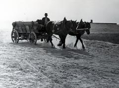 1936, Bor Dezső, szekér, földút, Fortepan #232024