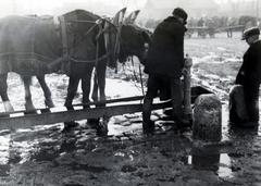 Magyarország, Budapest IX., Haller utcai vásártér, országos vásár alkalmával készült a felvétel., 1931, Bor Dezső, lószerszám, vásár, Budapest, Fortepan #232091