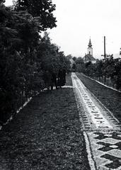 Hungary, Budakeszi, Fő utca, háttérben a Havas Boldogasszony-templom. Úrnapi körmenet virágszőnyege., 1933, Bor Dezső, flower carpet, Fortepan #232140