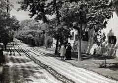 Magyarország, Budaörs, Szabadság út (József főherceg utca). Úrnapi körmenet virágszőnyege., 1933, Bor Dezső, virágszőnyeg, Fortepan #232141