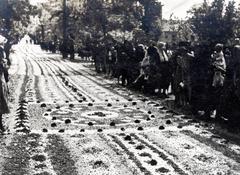 Hungary, Budaörs, Szabadság út (József főherceg utca). Úrnapi körmenet virágszőnyege., 1933, Bor Dezső, flower carpet, Fortepan #232142