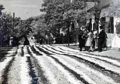 Magyarország, Budaörs, Szabadság út (József főherceg utca). Úrnapi körmenet virágszőnyege., 1933, Bor Dezső, virágszőnyeg, Fortepan #232143