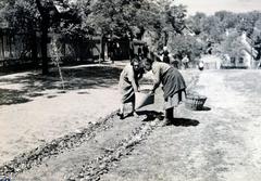 Hungary, Csömör, úrnapi körmenetre készítik a virágszőnyeget., 1932, Bor Dezső, flower carpet, Fortepan #232210