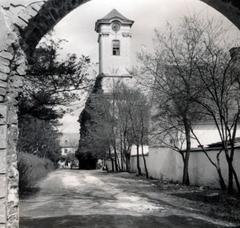 Magyarország, Oroszlány,Majkpuszta, Kamalduli remeteség. Szemben a templomból megmaradt csonkán álló torony, 1954, Aczél Frigyes, Fortepan #232751