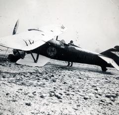 A Magyar Királyi Honvéd Légierő 1/4. "Teve" Vadászrepülő századának balesetben megsérült V.143 jelű FIAT Cr.32 -es repülőgépe., 1940, Tordai György, Fiat CR-32, biplán, járműroncs, MKHL, Fiat-márka, repülőgép, Fortepan #232800