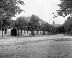 Magyarország, Sümeg, Deák Ferenc utca a ferences templom felé nézve, háttérben a vár., 1950, Építész, templom, utcakép, vár, fasor, Fortepan #23387