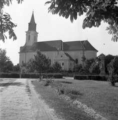 Magyarország, Makó, Szent István tér, Szent István király-templom., 1951, Építész, templom, katolikus, Fortepan #23425