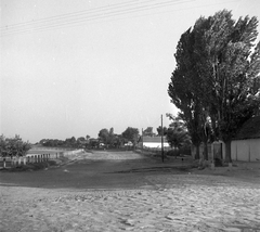 Magyarország, Makó, Wekerle utca az Aradi utca felől a Dózsa telep felé nézve., 1951, Építész, falu, utcakép, Fortepan #23443