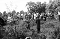 1964, Hegyvidéki Helytörténeti Gyűjtemény, Fortepan #234433