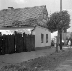 Magyarország, Vasvár, Alkotmány utca 42., 1952, Építész, utcakép, léckerítés, akácfa, parasztház, Fortepan #23474