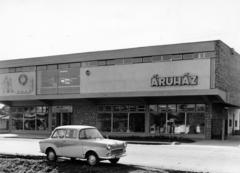 1962, Hegyvidéki Helytörténeti Gyűjtemény, automobil, áruház, Glas-márka, Fortepan #234741