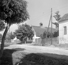 Magyarország, Vasvár, Alkotmány utca 41., 1952, Építész, gólya, parasztház, Fortepan #23502