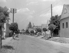 Magyarország, Vasvár, Alkotmány utca észak felé nézve., 1952, Építész, utcakép, légvezeték, parasztház, Fortepan #23529