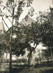 1918, Kenderessy Tibor, Fortepan #235604