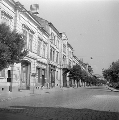 Magyarország, Székesfehérvár, Vörösmarty tér a Budai út felől., 1954, Építész, cégtábla, utcakép, gyógyszertár, Fortepan #23580