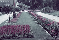 Hungary, Budapest XIV., Olof Palme sétány (Stefánia út), Országos Magyar Kertészeti Egyesület telepe, Virágkiállítási Pavilon., 1941, Lukács Zsolt, colorful, flower, Budapest, Fortepan #23606