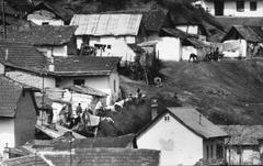 1967, Éltető, Fortepan #236220